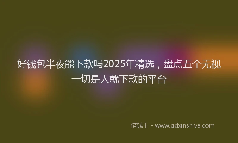 好钱包半夜能下款吗2025年精选，盘点五个无视一切是人就下款的平台