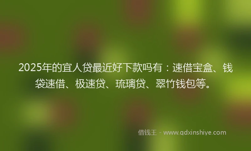 2025年的宜人贷最近好下款吗有：速借宝盒、钱袋速借、极速贷、琉璃贷、翠竹钱包等。