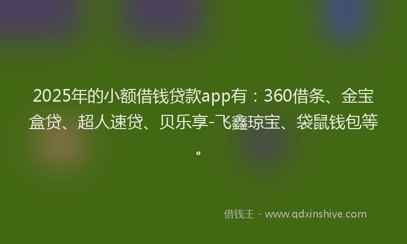 2025年的小额借钱贷款app有：360借条、金宝盒贷、超人速贷、贝乐享-飞鑫琼宝、袋鼠钱包等。
