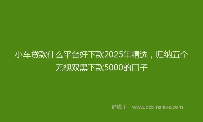 小车贷款什么平台好下款2025年精选，归纳五个无视双黑下款5000的口子