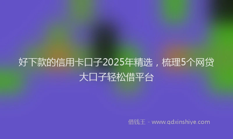 好下款的信用卡口子2025年精选，梳理5个网贷大口子轻松借平台