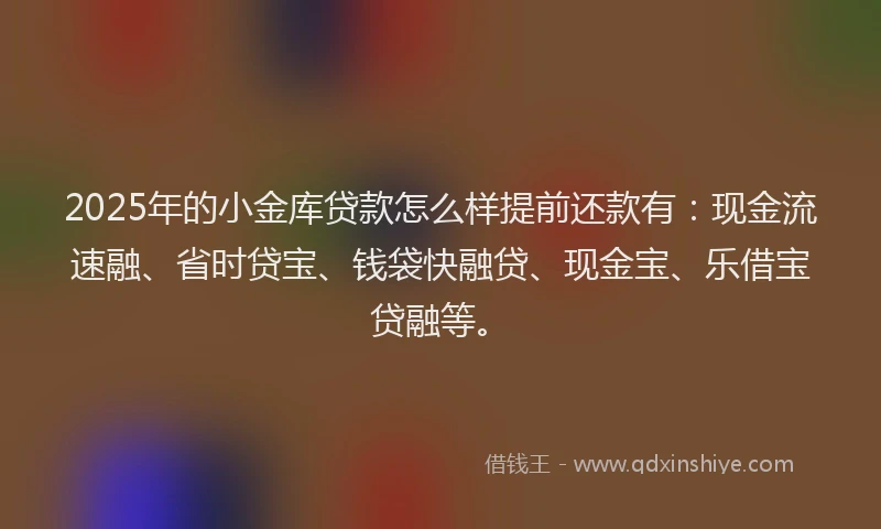 2025年的小金库贷款怎么样提前还款有：现金流速融、省时贷宝、钱袋快融贷、现金宝、乐借宝贷融等。