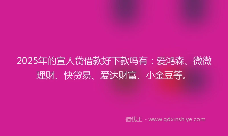 2025年的宣人贷借款好下款吗有：爱鸿森、微微理财、快贷易、爱达财富、小金豆等。