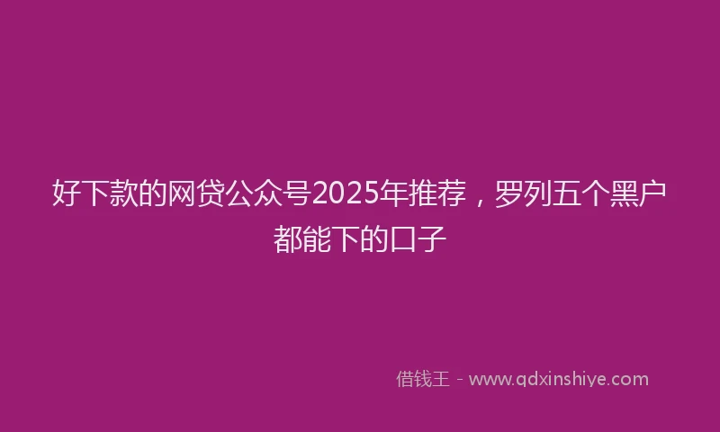 好下款的网贷公众号2025年推荐，罗列五个黑户都能下的口子