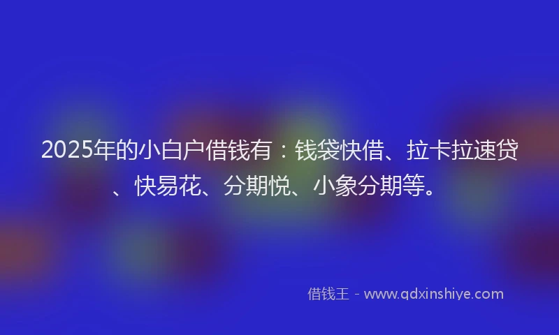 2025年的小白户借钱有：钱袋快借、拉卡拉速贷、快易花、分期悦、小象分期等。