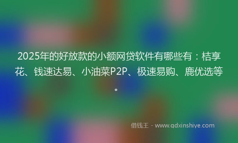 2025年的好放款的小额网贷软件有哪些有：桔享花、钱速达易、小油菜P2P、极速易购、鹿优选等。