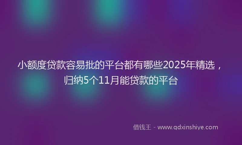 小额度贷款容易批的平台都有哪些2025年精选，归纳5个11月能贷款的平台