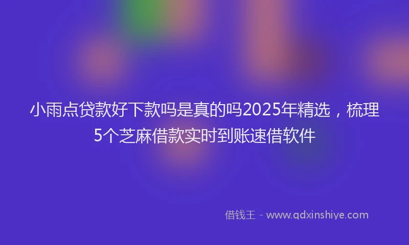 小雨点贷款好下款吗是真的吗2025年精选，梳理5个芝麻借款实时到账速借软件