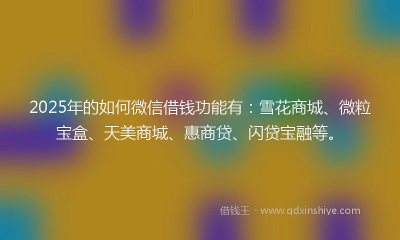 2025年的如何微信借钱功能有：雪花商城、微粒宝盒、天美商城、惠商贷、闪贷宝融等。