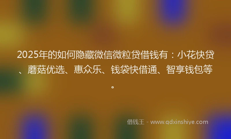 2025年的如何隐藏微信微粒贷借钱有：小花快贷、蘑菇优选、惠众乐、钱袋快借通、智享钱包等。
