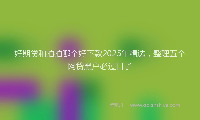 好期贷和拍拍哪个好下款2025年精选，整理五个网贷黑户必过口子