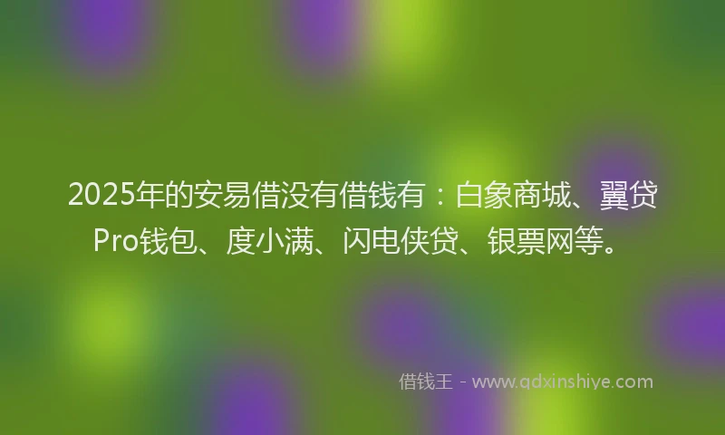 2025年的安易借没有借钱有：白象商城、翼贷Pro钱包、度小满、闪电侠贷、银票网等。