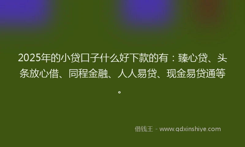 2025年的小贷口子什么好下款的有：臻心贷、头条放心借、同程金融、人人易贷、现金易贷通等。