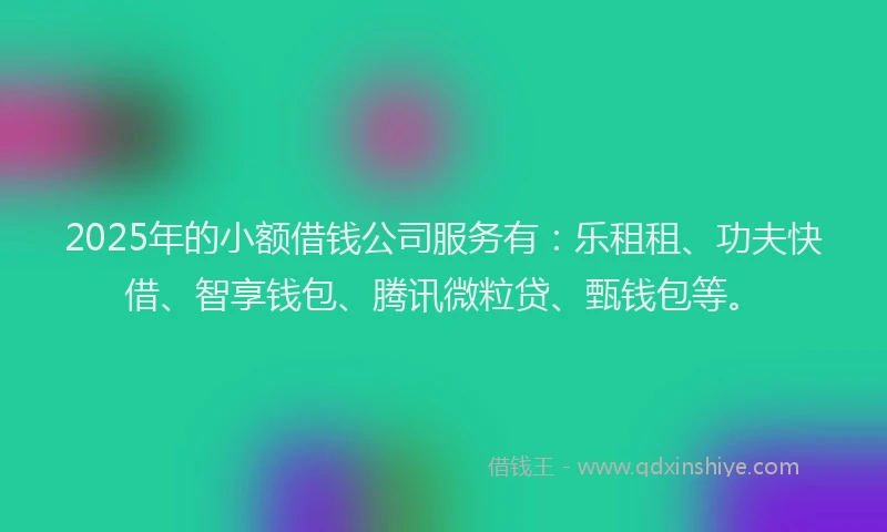 2025年的小额借钱公司服务有：乐租租、功夫快借、智享钱包、腾讯微粒贷、甄钱包等。