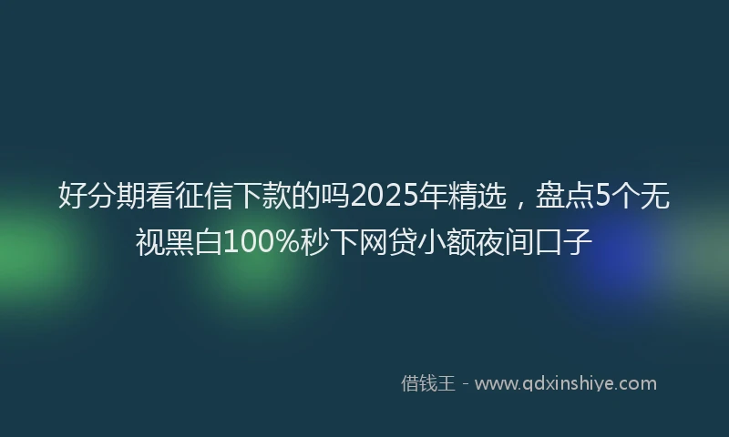 好分期看征信下款的吗2025年精选，盘点5个无视黑白100%秒下网贷小额夜间口子