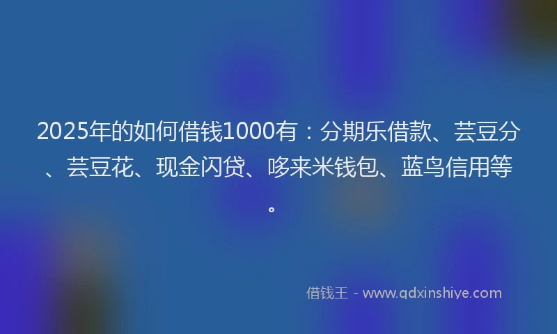 2025年的如何借钱1000有：分期乐借款、芸豆分、芸豆花、现金闪贷、哆来米钱包、蓝鸟信用等。