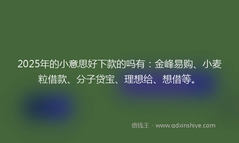 2025年的小意思好下款的吗有：金峰易购、小麦粒借款、分子贷宝、理想给、想借等。