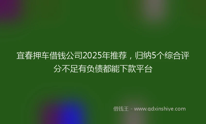 宜春押车借钱公司2025年推荐，归纳5个综合评分不足有负债都能下款平台