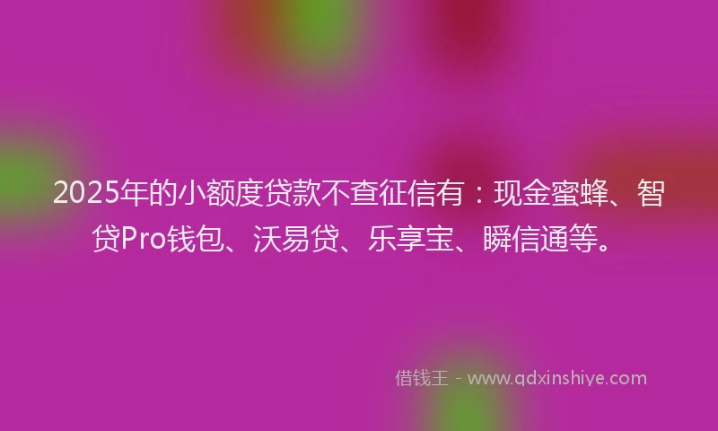 2025年的小额度贷款不查征信有：现金蜜蜂、智贷Pro钱包、沃易贷、乐享宝、瞬信通等。