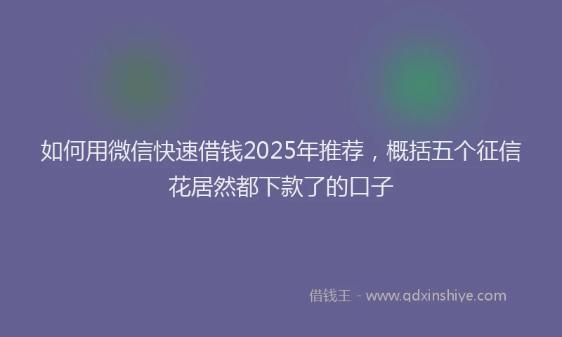 如何用微信快速借钱2025年推荐，概括五个征信花居然都下款了的口子