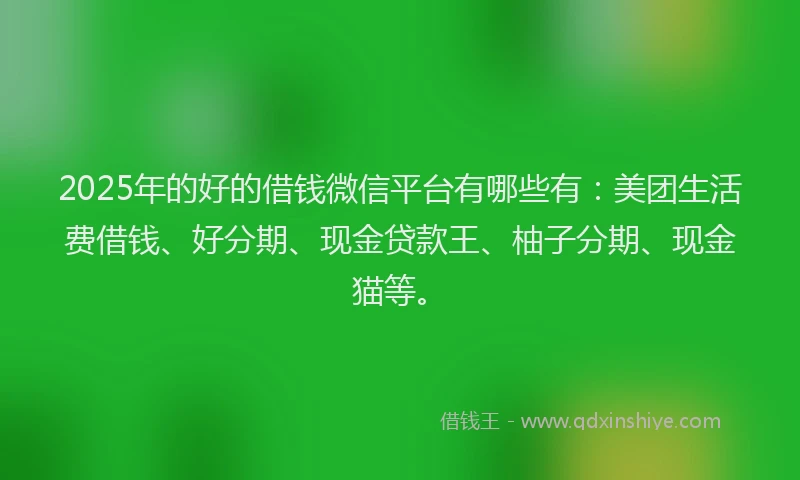 2025年的好的借钱微信平台有哪些有：美团生活费借钱、好分期、现金贷款王、柚子分期、现金猫等。