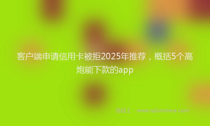 客户端申请信用卡被拒2025年推荐，概括5个高炮能下款的app