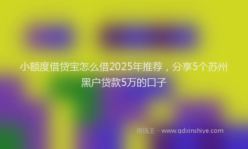 小额度借贷宝怎么借2025年推荐,分享5个苏州黑户贷款5万的口子