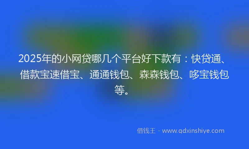 2025年的小网贷哪几个平台好下款有：快贷通、借款宝速借宝、通通钱包、森森钱包、哆宝钱包等。