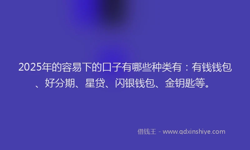 2025年的容易下的口子有哪些种类有：有钱钱包、好分期、星贷、闪银钱包、金钥匙等。