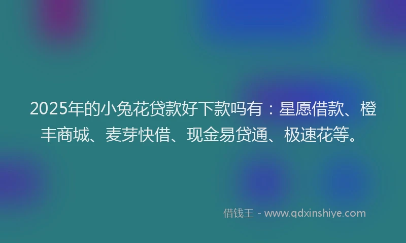 2025年的小兔花贷款好下款吗有：星愿借款、橙丰商城、麦芽快借、现金易贷通、极速花等。