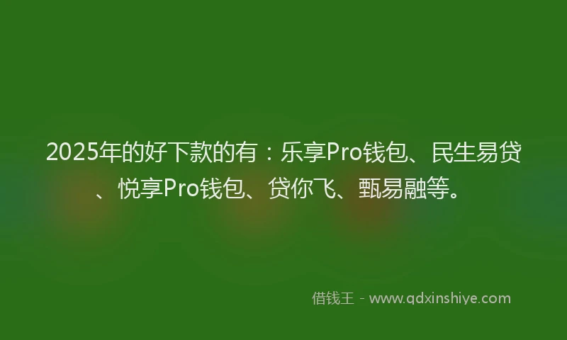 2025年的好下款的有：乐享Pro钱包、民生易贷、悦享Pro钱包、贷你飞、甄易融等。