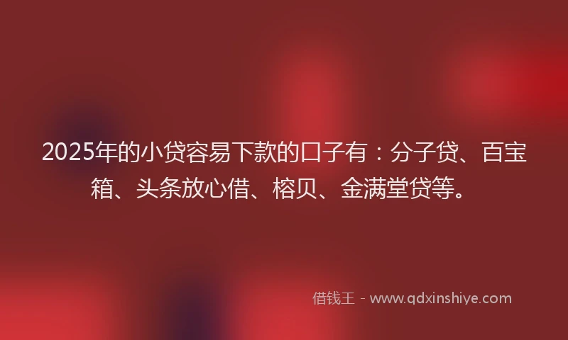 2025年的小贷容易下款的口子有：分子贷、百宝箱、头条放心借、榕贝、金满堂贷等。