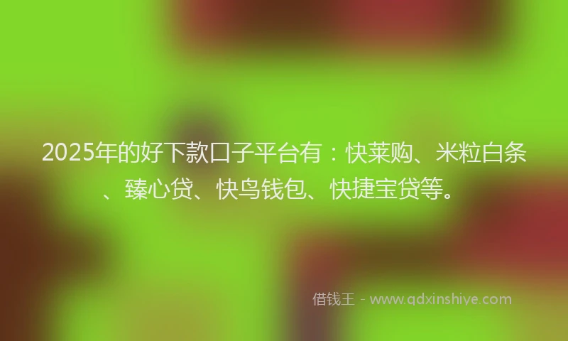 2025年的好下款口子平台有：快莱购、米粒白条、臻心贷、快鸟钱包、快捷宝贷等。