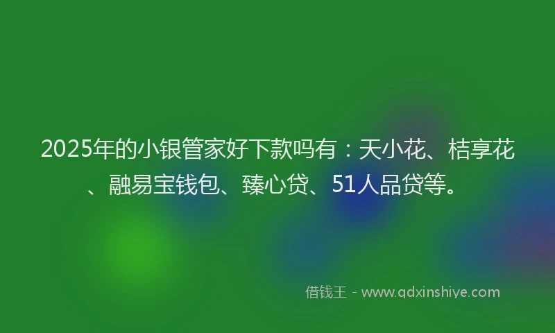 2025年的小银管家好下款吗有：天小花、桔享花、融易宝钱包、臻心贷、51人品贷等。