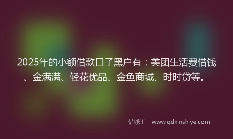 2025年的小额借款口子黑户有：美团生活费借钱、金满满、轻花优品、金鱼商城、时时贷等。