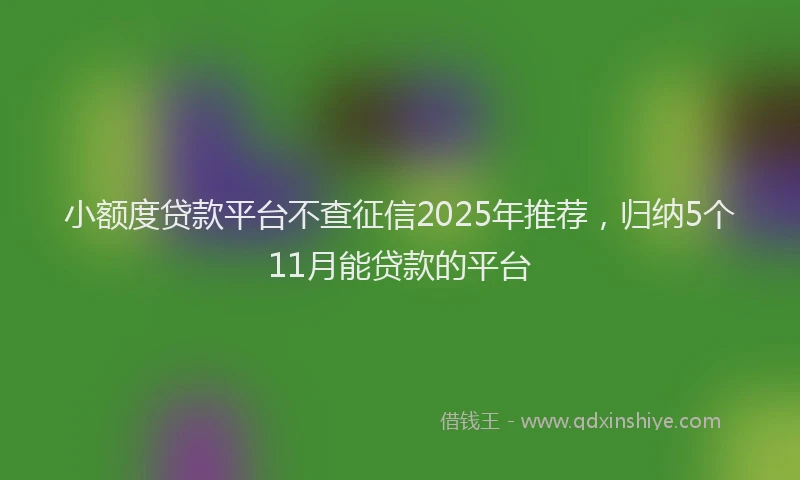 小额度贷款平台不查征信2025年推荐，归纳5个11月能贷款的平台