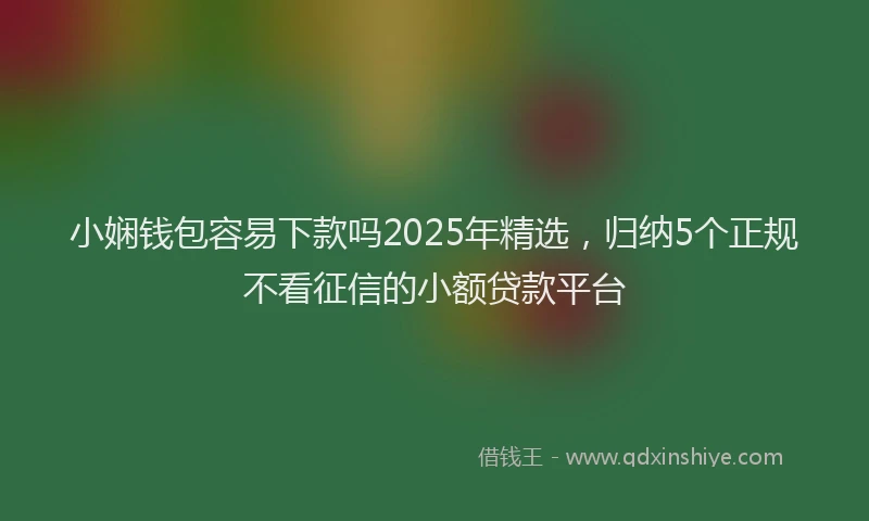 小娴钱包容易下款吗2025年精选，归纳5个正规不看征信的小额贷款平台