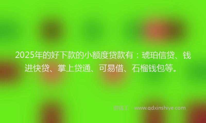 2025年的好下款的小额度贷款有：琥珀信贷、钱进快贷、掌上贷通、可易借、石榴钱包等。