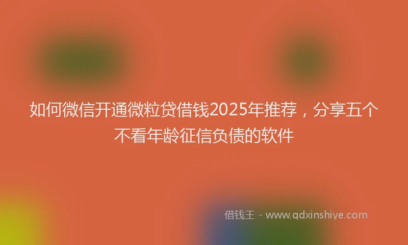 如何微信开通微粒贷借钱2025年推荐，分享五个不看年龄征信负债的软件