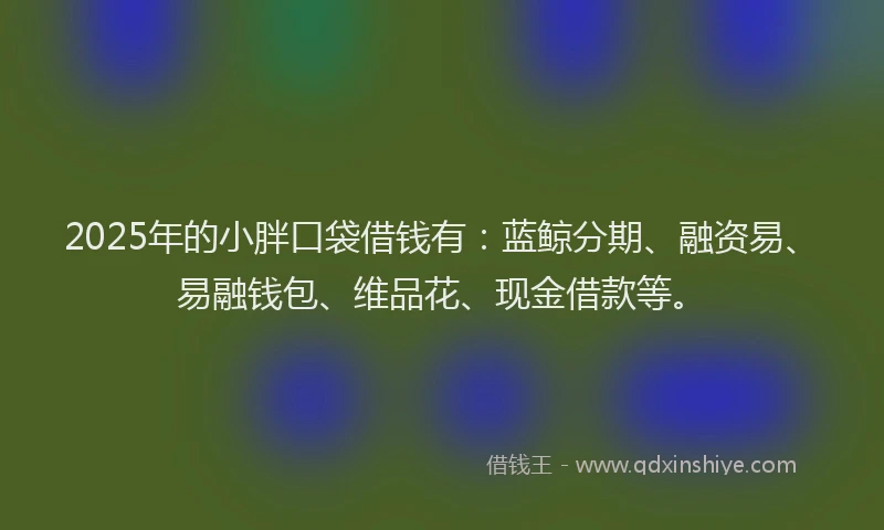 2025年的小胖口袋借钱有：蓝鲸分期、融资易、易融钱包、维品花、现金借款等。