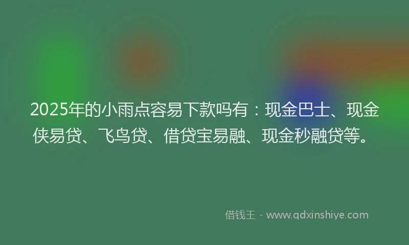 2025年的小雨点容易下款吗有：现金巴士、现金侠易贷、飞鸟贷、借贷宝易融、现金秒融贷等。