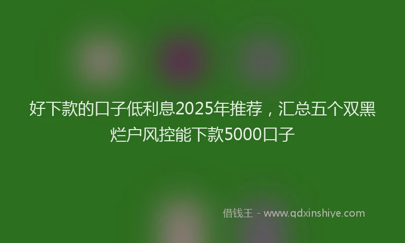 好下款的口子低利息2025年推荐，汇总五个双黑烂户风控能下款5000口子