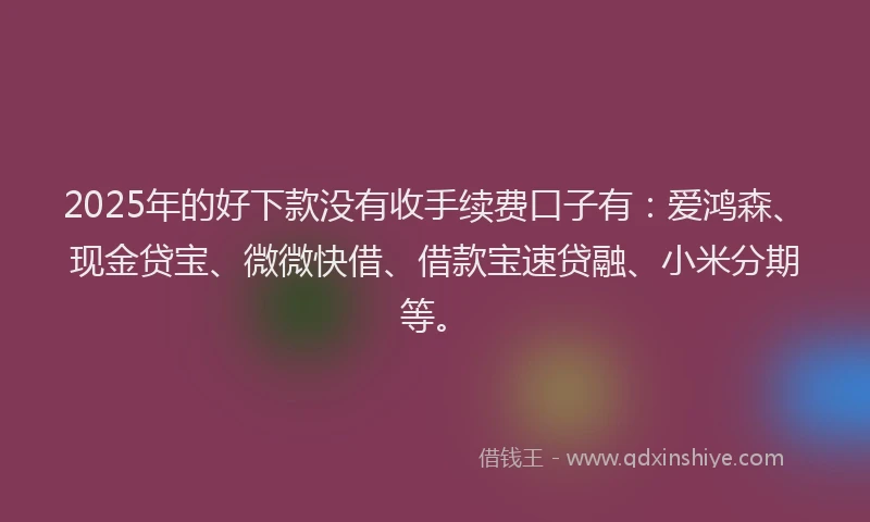 2025年的好下款没有收手续费口子有：爱鸿森、现金贷宝、微微快借、借款宝速贷融、小米分期等。
