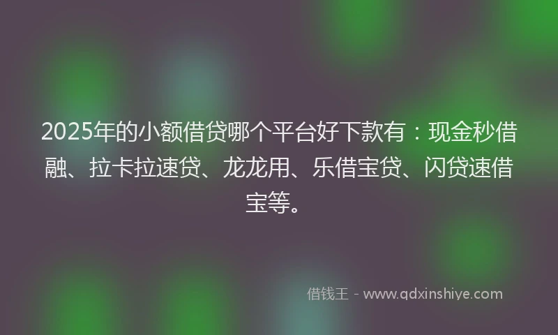 2025年的小额借贷哪个平台好下款有：现金秒借融、拉卡拉速贷、龙龙用、乐借宝贷、闪贷速借宝等。