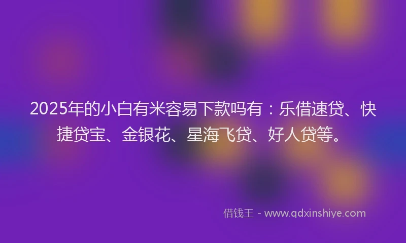 2025年的小白有米容易下款吗有:乐借速贷、快捷贷宝、金银花、星海飞贷、好人贷等。
