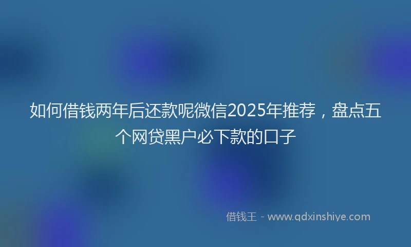 如何借钱两年后还款呢微信2025年推荐，盘点五个网贷黑户必下款的口子