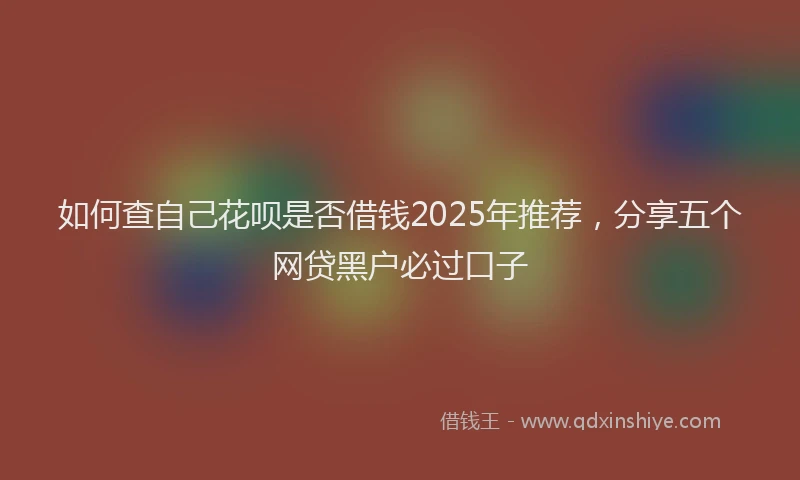 如何查自己花呗是否借钱2025年推荐，分享五个网贷黑户必过口子