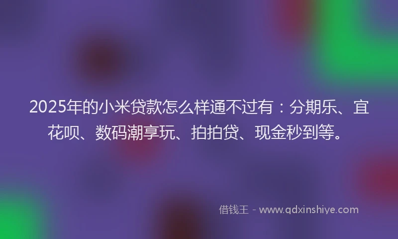 2025年的小米贷款怎么样通不过有：分期乐、宜花呗、数码潮享玩、拍拍贷、现金秒到等。