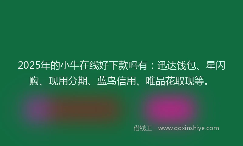 2025年的小牛在线好下款吗有：迅达钱包、星闪购、现用分期、蓝鸟信用、唯品花取现等。