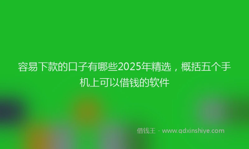 容易下款的口子有哪些2025年精选，概括五个手机上可以借钱的软件